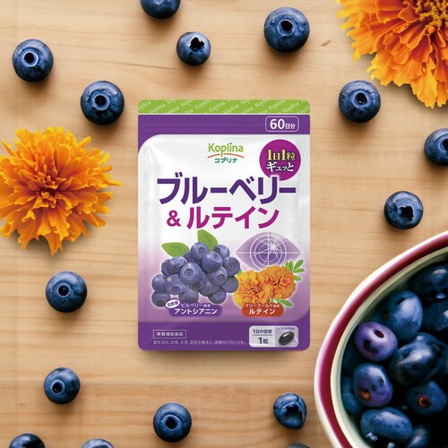 �R�v���i �u���[�x���[�����e�C�� 60�� 60����_12