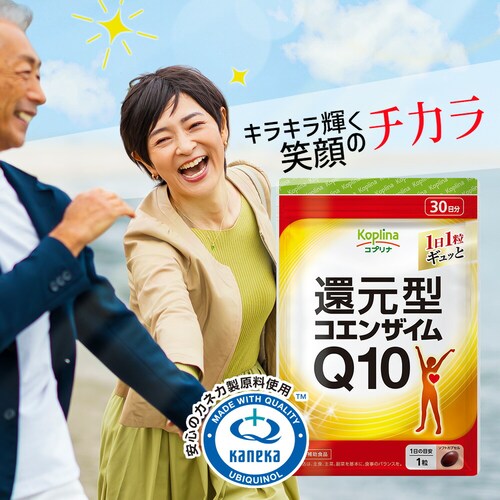 �R�v���i �Ҍ��^�R�G���U�C��Q10 30�� 30����_2