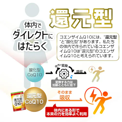 �R�v���i �Ҍ��^�R�G���U�C��Q10 30�� 30����_3