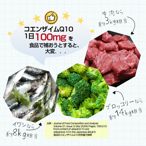 �R�v���i �Ҍ��^�R�G���U�C��Q10 30�� 30����_5