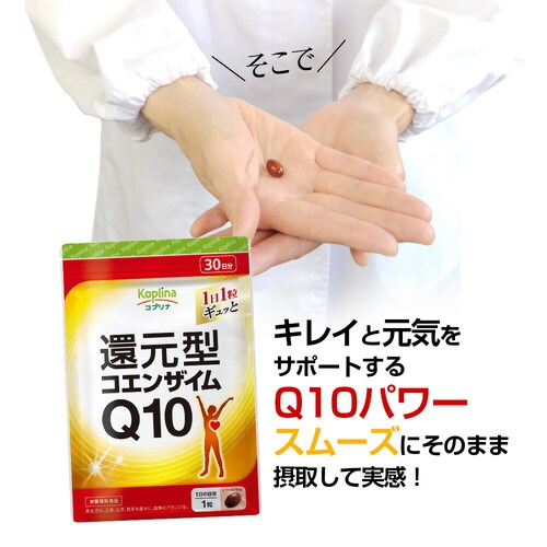 �R�v���i �Ҍ��^�R�G���U�C��Q10 30�� 30����_6