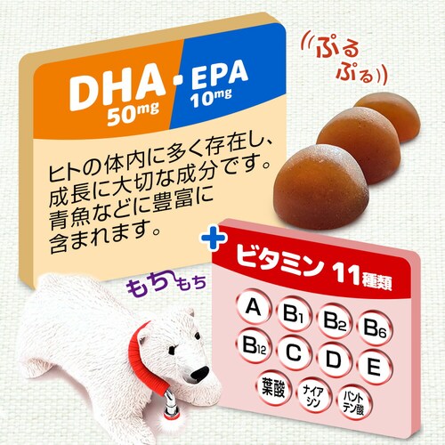 �R�v���i �O�~�T�v�� DHA���r�^�~�� 60�� 20����_4