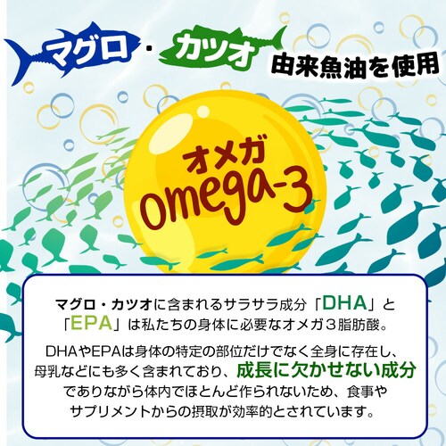 �R�v���i �O�~�T�v�� DHA���r�^�~�� 60�� 20����_7