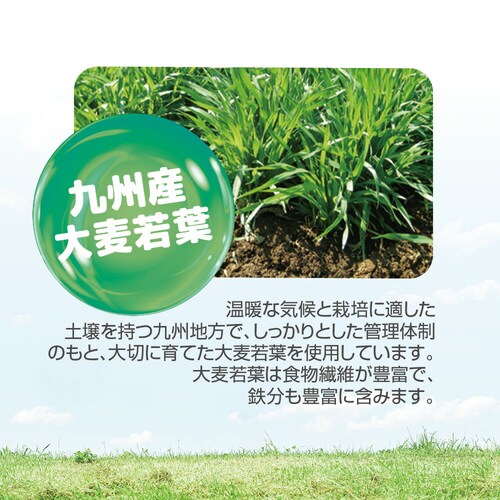 �R�v���i �Ղ�Ղ�`�t���[�c�[���[ 15g�~30�{ 30����_9