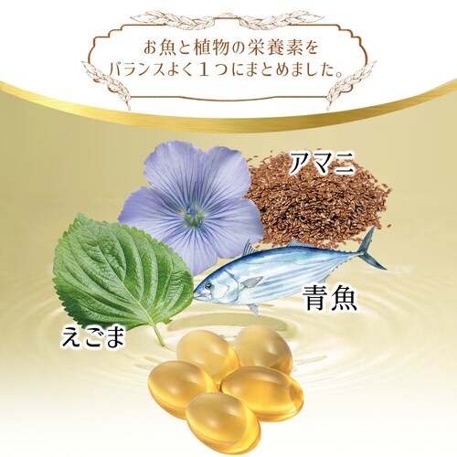 �R�v���i �I���K3 150�� 30����_3