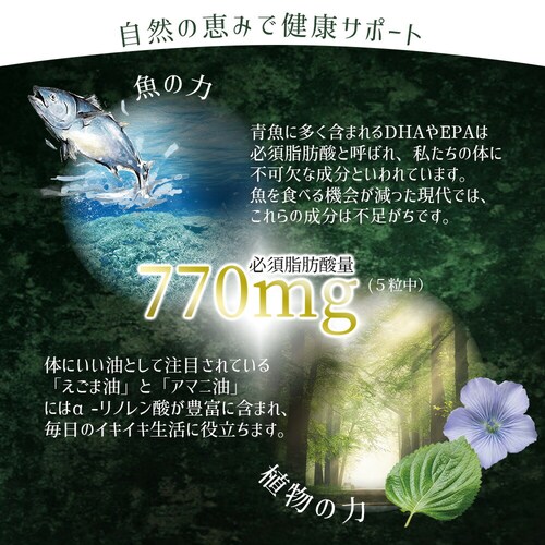 �R�v���i �I���K3 150�� 30����_4