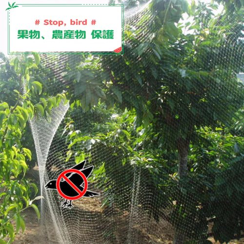 �h���l�b�g �h���� ���� ��5�� ����5�� �Ԗ�25mm ���� �i�C���� ���悯�l�b�g �J���X�悯 �Q�b �h�b �c��� �� �_�� �ʎ��� �� �x�����_ �ʕ� ��� �����Q�h�~_4