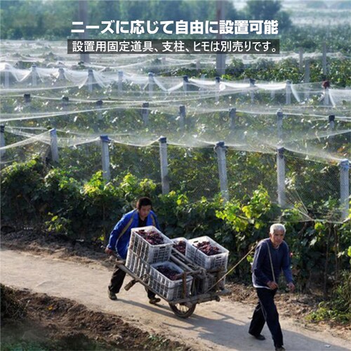 �h���l�b�g �h���� ���� ��5�� ����5�� �Ԗ�25mm ���� �i�C���� ���悯�l�b�g �J���X�悯 �Q�b �h�b �c��� �� �_�� �ʎ��� �� �x�����_ �ʕ� ��� �����Q�h�~_5