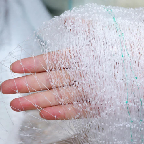 �h���l�b�g �h���� ���� ��5�� ����5�� �Ԗ�25mm ���� �i�C���� ���悯�l�b�g �J���X�悯 �Q�b �h�b �c��� �� �_�� �ʎ��� �� �x�����_ �ʕ� ��� �����Q�h�~_6