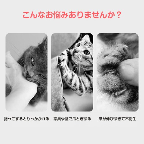 ���p�ܐ؂� ���b�h ���^ �~�j �ܐ؂� �͂��� �y�b�g �L �� �C���R ���� ������ ���S �J�[�u�n �X�e�����X �ȒP �R���p�N�g �y�� ���S�Ҍ��� ������� �l�C���N���b�p�[_1