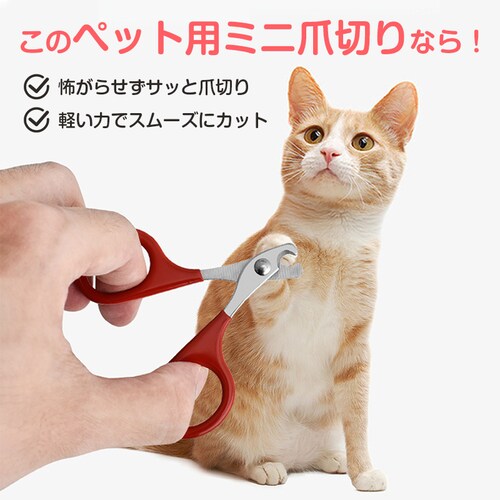 ���p�ܐ؂� ���b�h ���^ �~�j �ܐ؂� �͂��� �y�b�g �L �� �C���R ���� ������ ���S �J�[�u�n �X�e�����X �ȒP �R���p�N�g �y�� ���S�Ҍ��� ������� �l�C���N���b�p�[_3