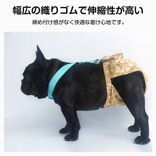 ���p�T�X�y���_�[ �t�����[ XL �y�b�g �� �L �T�X�y���_�[ �� �I���c ���ނ� �Y���h�~ �Œ� �N���b�v �x���g �L�k ������ �}�i�[�p���c ���p �V�� �U�� ���킢�� �������_6