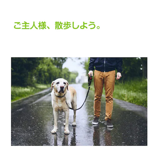 �y�b�g�p���[�h �� �L �V�[�g�x���g �X�g���b�v �w�b�h���X�g�Ɋ|���邾�� ���o���� �h���C�u �a�@ �A�� �U�� ���s �� ��� �Œ� ��яo���]���h�~ ���S ���߉�_6