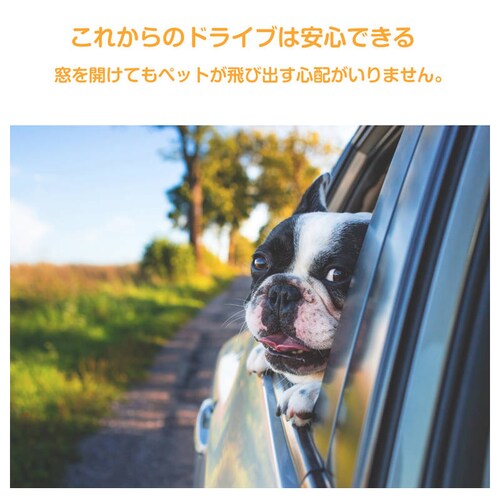 �y�b�g�p���[�h �� �L �V�[�g�x���g �X�g���b�v �w�b�h���X�g�Ɋ|���邾�� ���o���� �h���C�u �a�@ �A�� �U�� ���s �� ��� �Œ� ��яo���]���h�~ ���S ���߉�_7