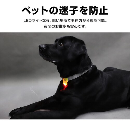 LED�����j���O���C�g �C�G���[ 2�� ��� ���� ���S �E�H�[�L���O�p �h�� �N���b�v�� �y�� �}�O�l�b�g�t�� �ʋ� �ʊw �����j���O �U�� �y�b�g ���]�� �X�|�[�c �A�E�g�h�A_8