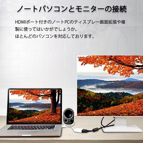 HDMI �I�X VGA AUX ���X �[�d 3.5mm�����@�\�t �ϊ��A�_�v�^�[ PS4 �X�C�b�` Macbook �Ή� �I�[�f�B�I�W���b�N�t�� �� �P���� �ϊ��P�[�u�� V1.4 1080P_4