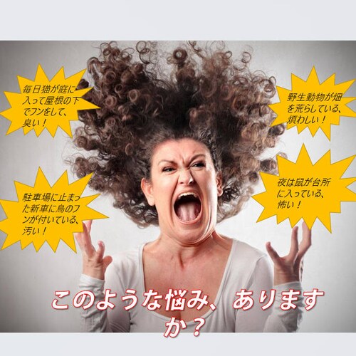 �L�悯 �����g�������� �� �������� �� �������A�΍� �Q�b �ǂ����� �\�[���[����USB�[�d�\ �쐶������Q �h�H �L �� �l�Y�~ �L�c�l �� �L �C�m�V�V�悯 ����_1