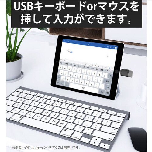 iPhone�p USB�|�[�g �ϊ��A�_�v�^ Lightning�I�XtoUSB���X USB�@��ڑ� OTG iPad���C�g�j���O �f�[�^�]�� �o�b�N�A�b�v Office PDF�t�@�C�� �ۑ��ړ�_4