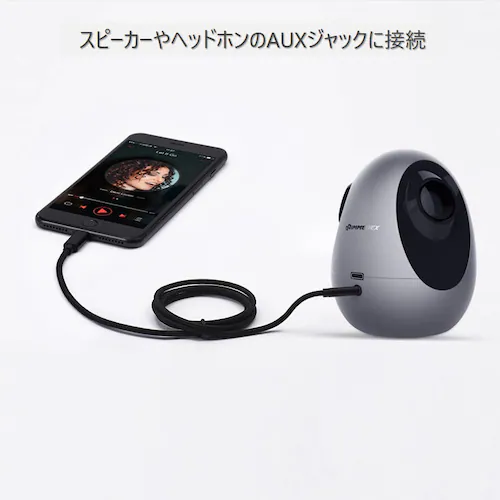 iPhone �S�[���h  ���C�g�j���O3.5mmAUX�ϊ��P�[�u�� lightning�ԍڗp�I�[�f�B�I�P�[�u�� �C���z���ϊ��A�_�v�^�[ ���y�Đ�iPhone11 pro Xs max/Xr/8plus_2