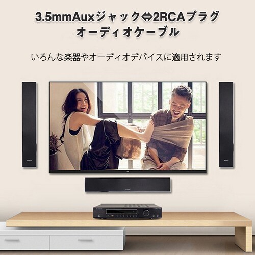 3.5mm���X RCA�I�X�ϊ��A�_�v�^ RCA�f���A���v���O��3.5mmAUX�W���b�N �ϊ��P�[�u�� 40cm AV 2Pin �X�s�[�J�[ �}�C�N �I�[�f�B�I�ݔ��̐ڑ� �X�e���I_5