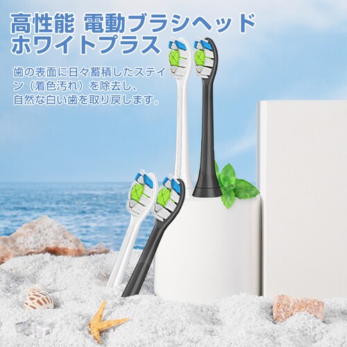 �d�����u���V�w�b�h �z���C�g2�{�ƃu���b�N2�{ �X�e�C������ �ւ��u���V 4�Z�b�g �t�B���b�v�X �݊� �\�j�b�P�A�[ �ʕ ���C���� �v���[�N���� ���� ���o�P�A ���g�U�� �X�y�A �\��_2