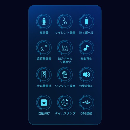 �{�C�X���R�[�_�[ 32GB IC���R�[�_�[ �^�� �h�� ���S ���^ ������ 16���ԘA���^�� �����ۑ� MP3�v���[���[ �m�C�Y�}�� �É� ������ �����^�ѕ֗�_2