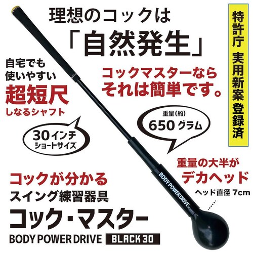 ������K �U�邾���ŃR�b�N�������� �Z�ڂ��Ȃ�X�C���O���K�� �R�b�N�}�X�^�[  �Ǝ��d�ʃo�����X�Ŏ��R�̃R�b�N������ �{�f�B�p���[�h���C�u �� 30�C���`_1