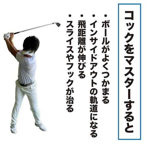 ������K �U�邾���ŃR�b�N�������� �Z�ڂ��Ȃ�X�C���O���K�� �R�b�N�}�X�^�[  �Ǝ��d�ʃo�����X�Ŏ��R�̃R�b�N������ �{�f�B�p���[�h���C�u �� 30�C���`_16