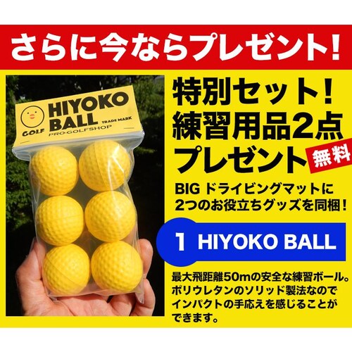 ���O���[�h�E�ቿ�i BIG�h���C�r���O�}�b�g150cm�~100cm ���t�Ń}�b�g+HIYOKO�{�[���t�� �S���e�B�[2�t�� ����S���t�}�b�g �V���b�g���K �}�b�g_12