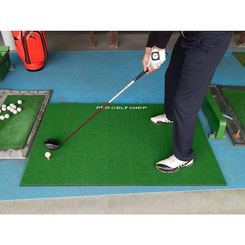 ���O���[�h�E�ቿ�i BIG�h���C�r���O�}�b�g150cm�~100cm ���t�Ń}�b�g+HIYOKO�{�[���t�� �S���e�B�[2�t�� ����S���t�}�b�g �V���b�g���K �}�b�g_15