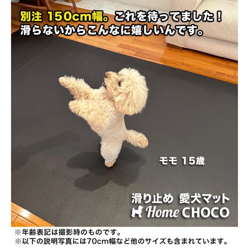 �����̂��߂̎����p ����~�߃}�b�g HOME CHOCO III �ʒ����C�h�m��150cm�~����2m�n�z�[���`���RVer.III_3