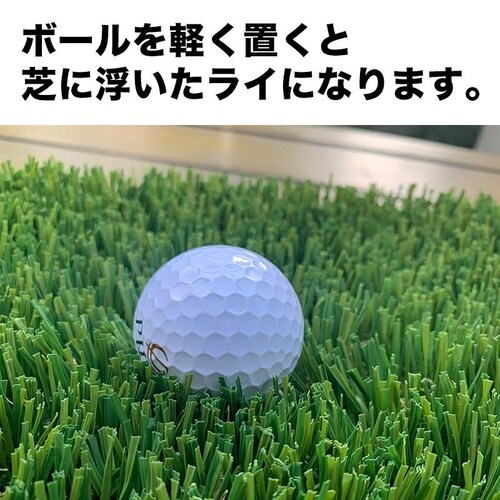 �y�[�I�z�[���t�� �S���t���K�}�b�g30cmx30cm�i�X�N�G�A�j�y5cm�̐[���t �V���b�g ���K �l�H�� �S���t �}�b�g�z�y�A�C�A�� �A�v���[�`�z_10