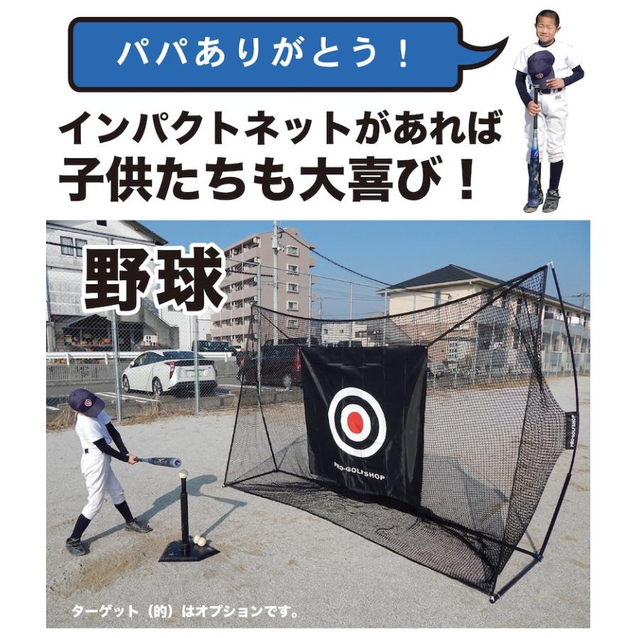 ゴルフネット インパクトネット IMPACTNET 3mタイプ ゴルフ 練習 s160