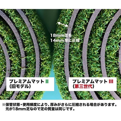 �S���t�}�b�g �X�^���X�}�b�g 150cm PGS�v���~�A���}�b�gIII ��O����{�����[���œ��� �S���e�B�[2�t��_9