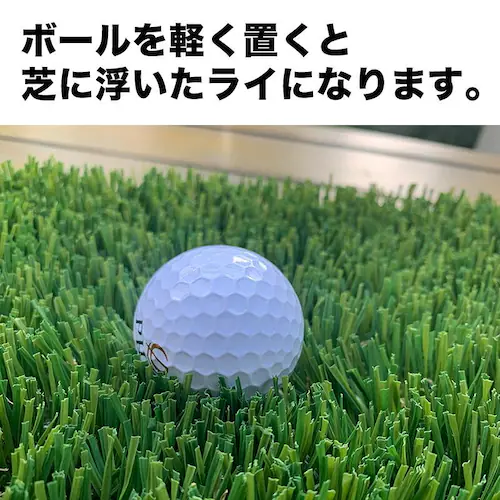 �[���t�� �S���t���K�}�b�g �V�T�C�Y�E�~�j 20cmx40cm 5cm�̐[���t �A�v���[�`�p�T�C�Y �V���b�g ���K �l�H�� �S���t �}�b�g �A�C�A��_10