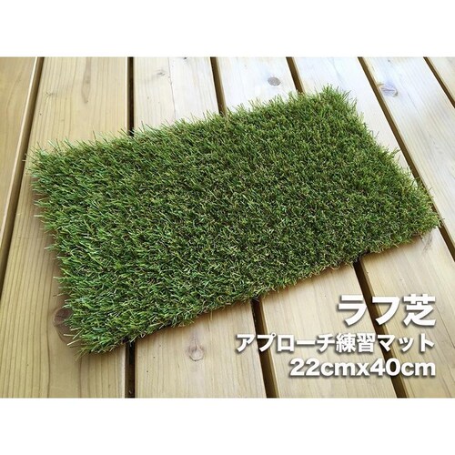 ���t�ŃA�v���[�`�}�b�g22cmx40cm �A�v���[�` ���K �S���t �l�H��_4