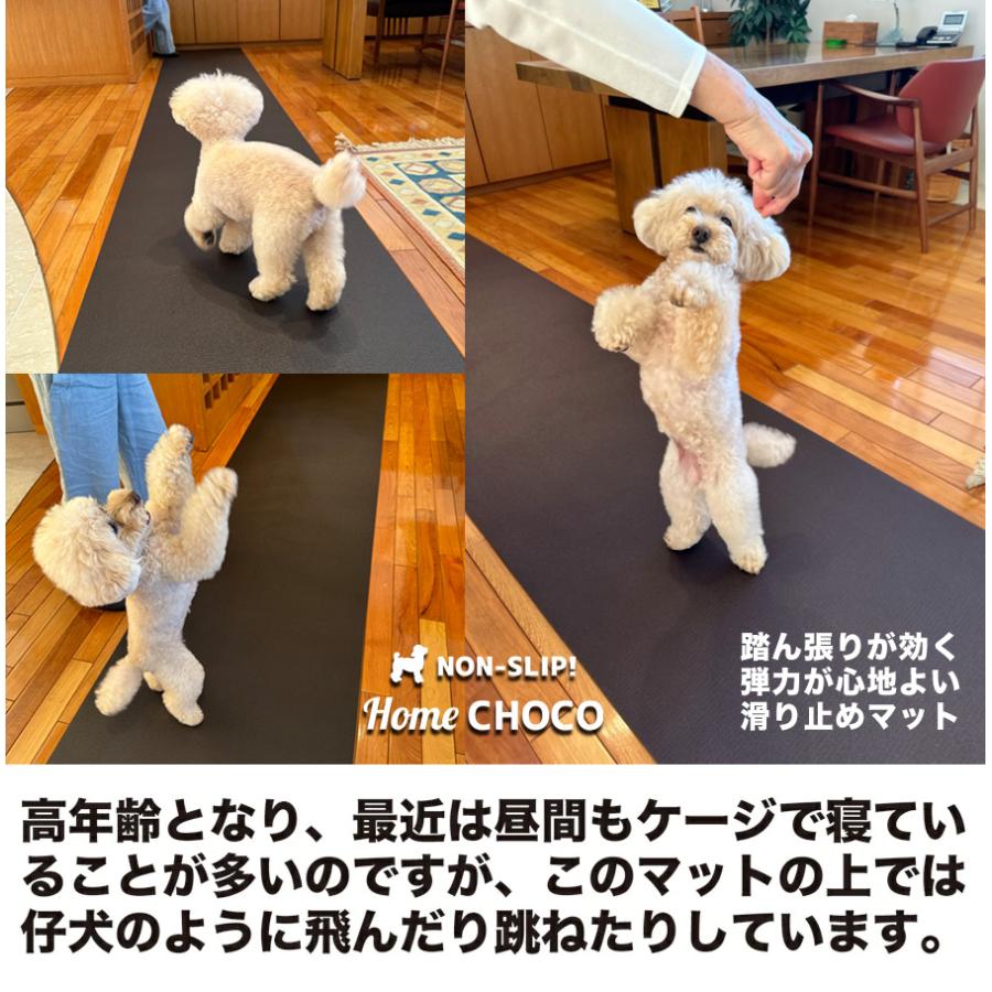 愛犬のための室内用 滑り止めマット HOME CHOCO III 70cm幅 長さ10cm