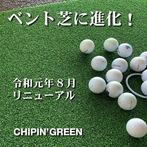 �����O 180cm�~4m CHIPIN�fGREEN �`�b�v�C���O���[�� ���t�ŃA�v���[�`�}�b�g���g���[�j���O�����O�t��_5