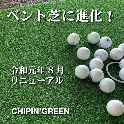 �����O 180cm�~10m CHIPIN�fGREEN �`�b�v�C���O���[�� ���t�ŃA�v���[�`�}�b�g���g���[�j���O�����O�t��_5