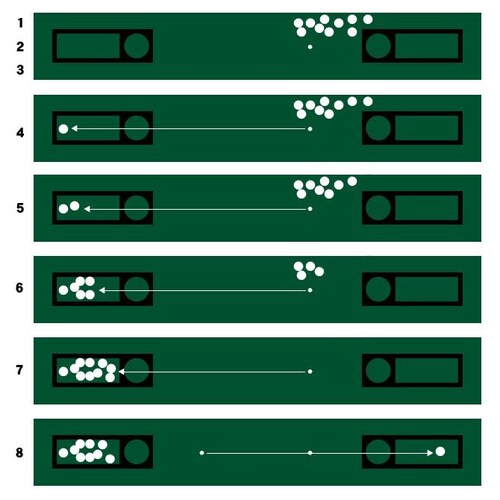 �������}�X�^�[�J�b�v ���{�� �S���t �p�^�[ �p�b�g ���K_3