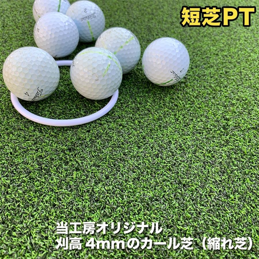屋外 60cm×5m パット専用人工芝 短芝PT 順目やや高速＆逆目標準