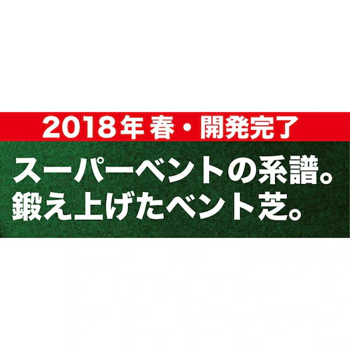 �p�^�[�}�b�g�H�[ �����O�p�b�g ���� 45cm�~7m TOURNAMENT-SB �g�[�i�����gSB ���� ���O���[�h �������}�X�^�[�J�b�v�t�� ���{��_1