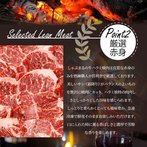 ���� �� �n���~ �ē� 1kg�i250g�~4P�j ���K���� �Ԑg �͂�� �Ԑg �o�[�x�L���[ �������� �H�i ����_8