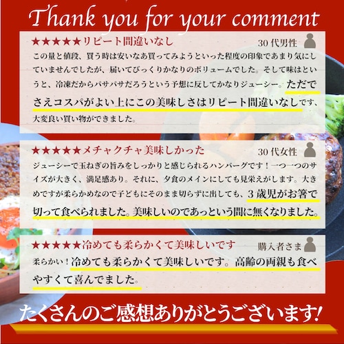 �n���o�[�O �y�� �e�҂� �n���o�[�O ���K���� 2.4kg�i100g�~24���j �����W�n�j �Ⓚ�ٓ� ����_3