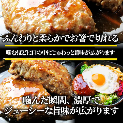 �n���o�[�O �y�� �e�҂� �n���o�[�O ���K���� 2.4kg�i100g�~24���j �����W�n�j �Ⓚ�ٓ� ����_11