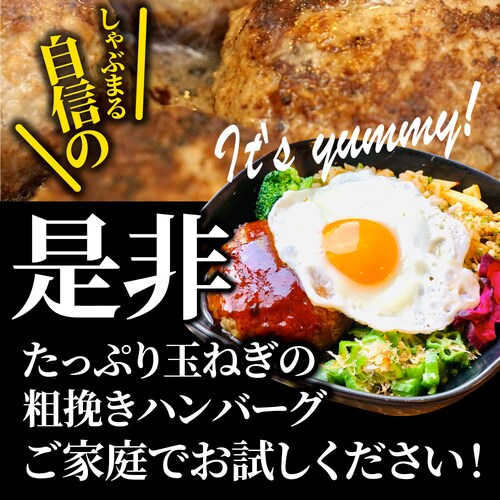 �n���o�[�O �y�� �e�҂� �n���o�[�O ���K���� 2.4kg�i100g�~24���j �����W�n�j �Ⓚ�ٓ� ����_13