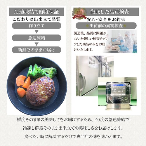 �n���o�[�O �y�� �e�҂� �n���o�[�O ���K���� 1.2kg�i100g�~12���j �����W�n�j �Ⓚ�ٓ� ����_17