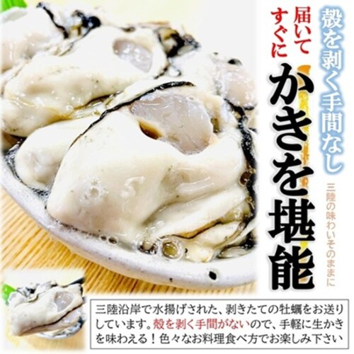 �O���Y �嗱 ������ �ނ��g (1�s 500g�~2 / �嗱/���H�p) �{�錧�Y 2025�N�V�� ���� �����y �Y�� (�����| ����t��) �����t���C ������ ������ �M�t�g_2