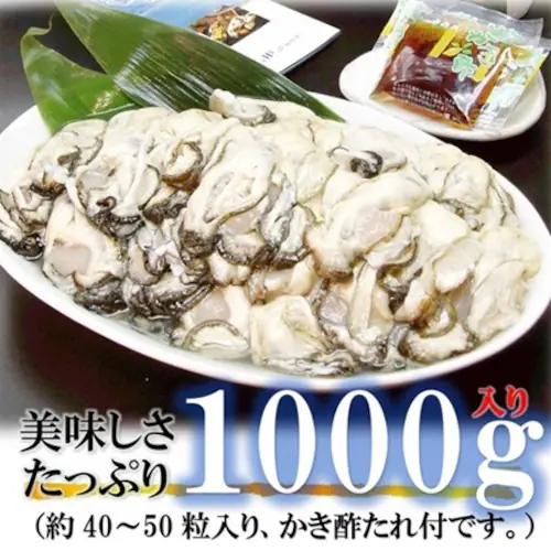 �O���Y �嗱 ������ �ނ��g (1�s 500g�~2 / �嗱/���H�p) �{�錧�Y 2025�N�V�� ���� �����y �Y�� (�����| ����t��) �����t���C ������ ������ �M�t�g_4