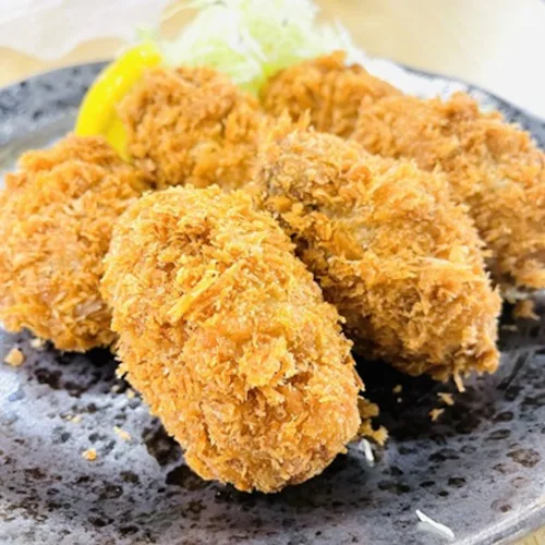 �O���Y �嗱 ������ �ނ��g (1�s 500g�~2 / �嗱/���H�p) �{�錧�Y 2025�N�V�� ���� �����y �Y�� (�����| ����t��) �����t���C ������ ������ �M�t�g_9